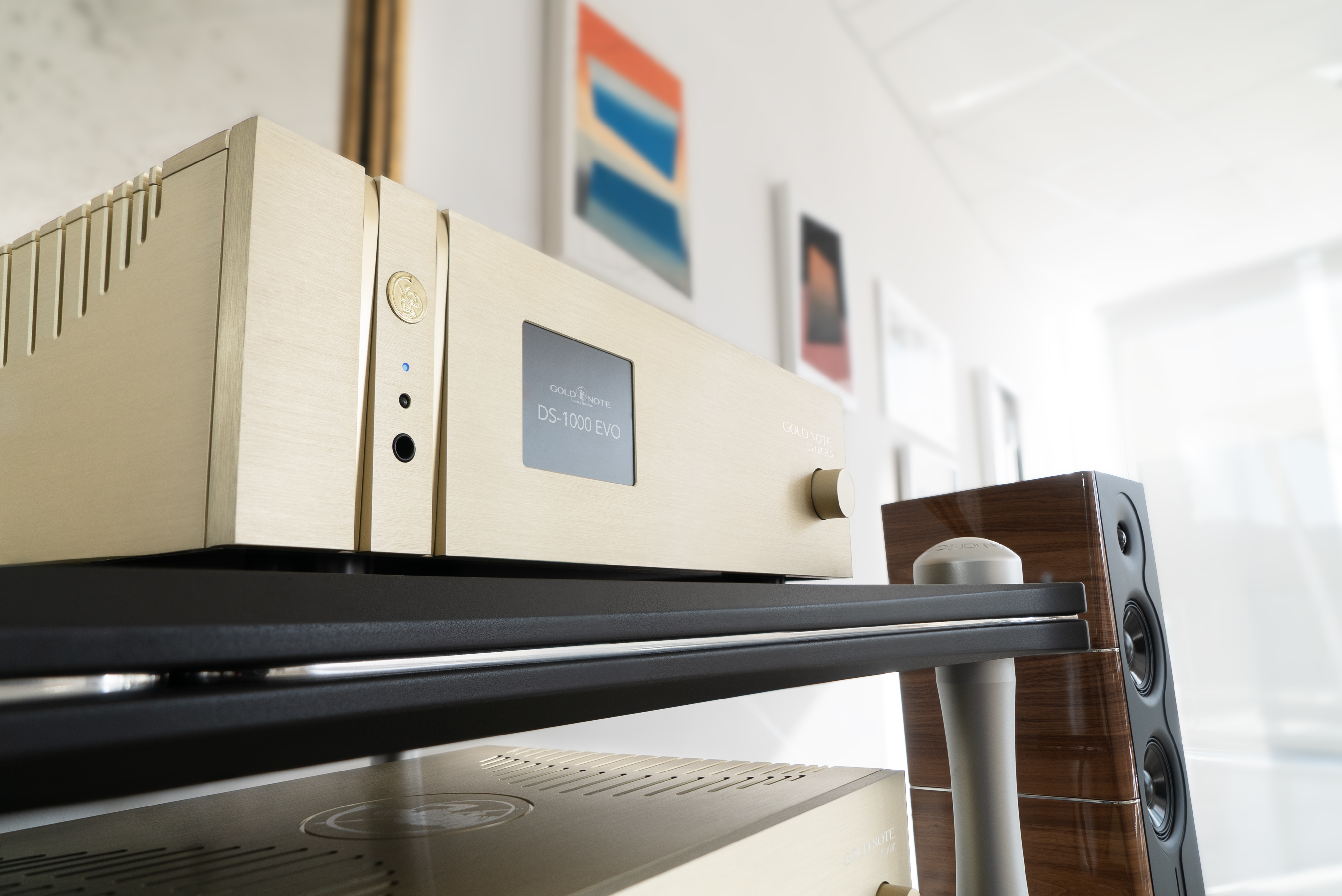 Gold Note DS-1000 EVO Streaming DAC/Headphone Amp/Preamp (Gold) - Image 5