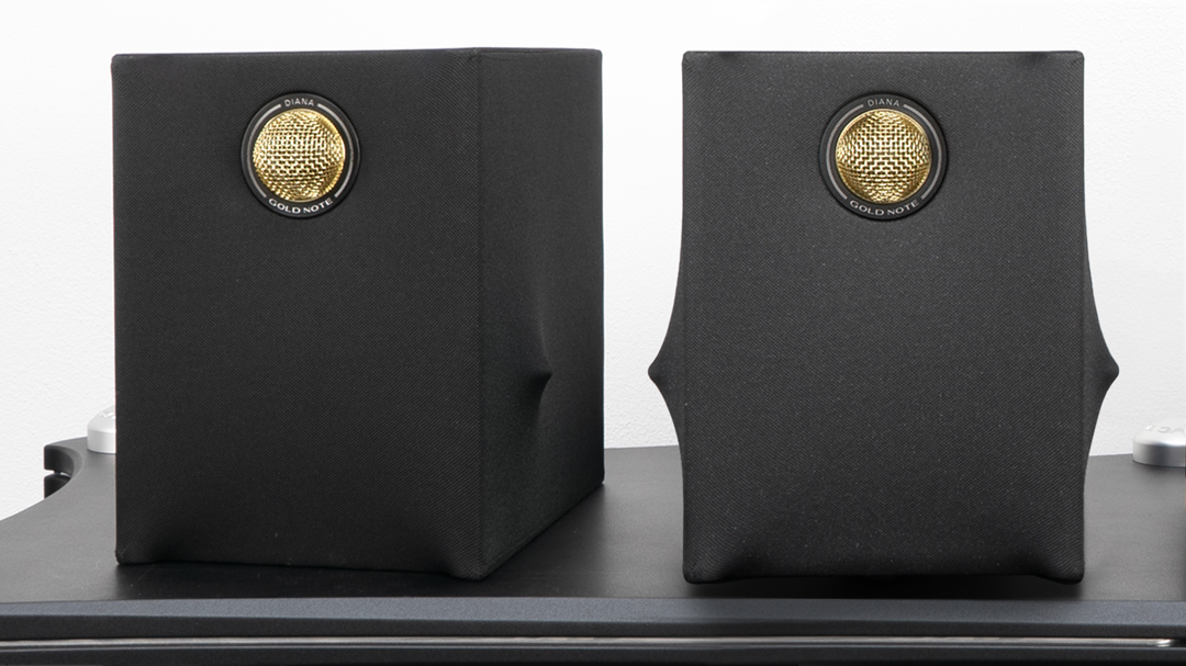 Gold Note Diana I Bookshelf Speakers (Rebel Black, PAIR) - Image 2