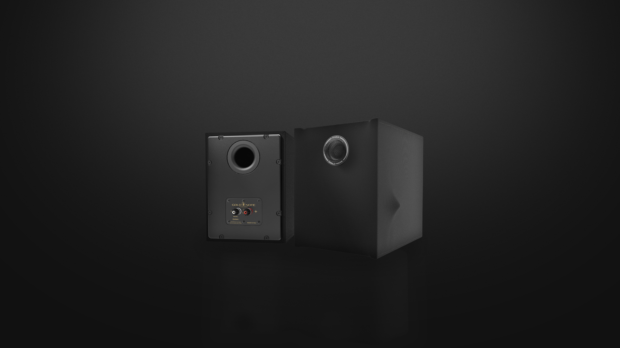 Gold Note Diana I Bookshelf Speakers (Rebel Black, PAIR) - Image 7